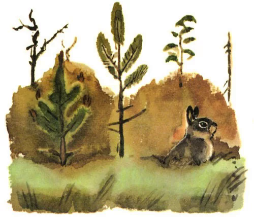 Собрались старые зайцы сбежались маленькие зайчата. Мамин Сибиряк Листопадничек. Иллюстрация к сказке листопаднички. Заячьи лапы иллюстрация. Иллюстрация к Паустовскому заячьи лапки.